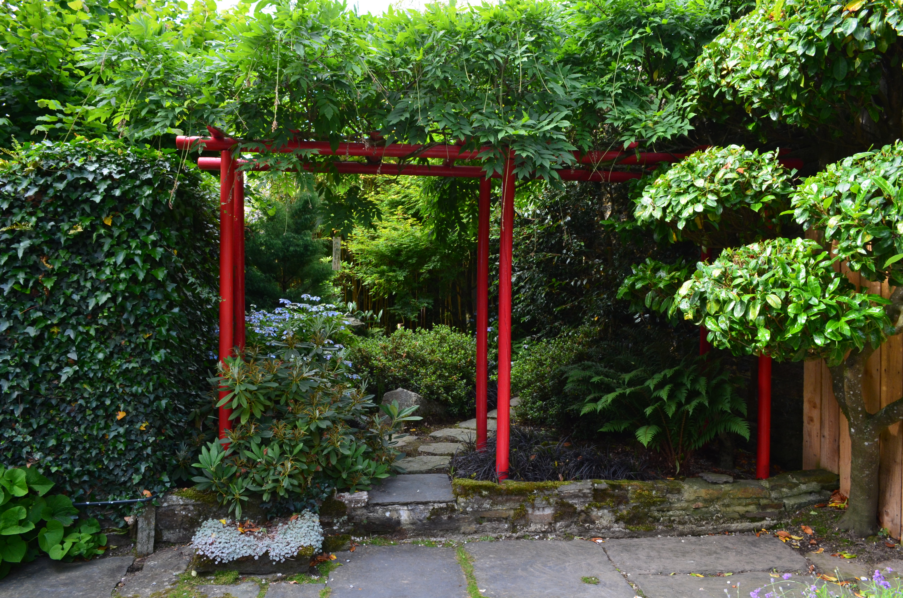 Petit jardin japonais